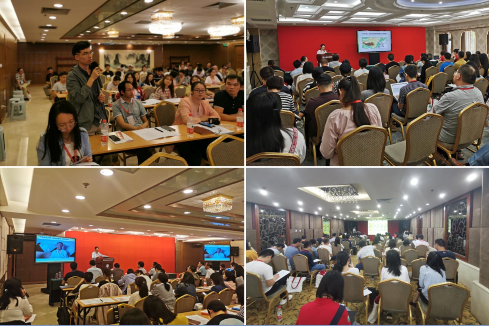 分会场景.jpg